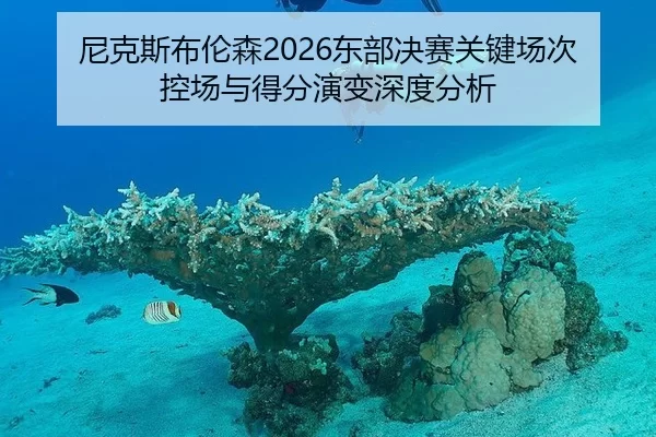 尼克斯布伦森2026东部决赛关键场次控场与得分演变深度分析